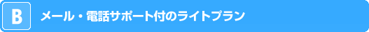 メール・電話サポート付のライトプラン